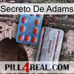 Adams Secret 36